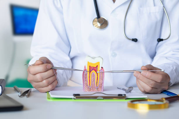 Best Root Canal Emergency Dentist  in Pierre Part, LA